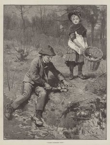 Onde Primroses Grow